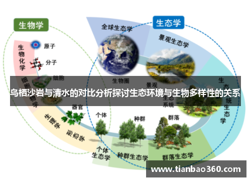 鸟栖沙岩与清水的对比分析探讨生态环境与生物多样性的关系